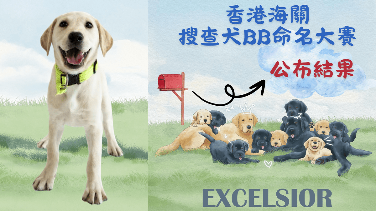 海關搜查犬BB命名大賽結果出爐 9胞胎名字閃亮登場