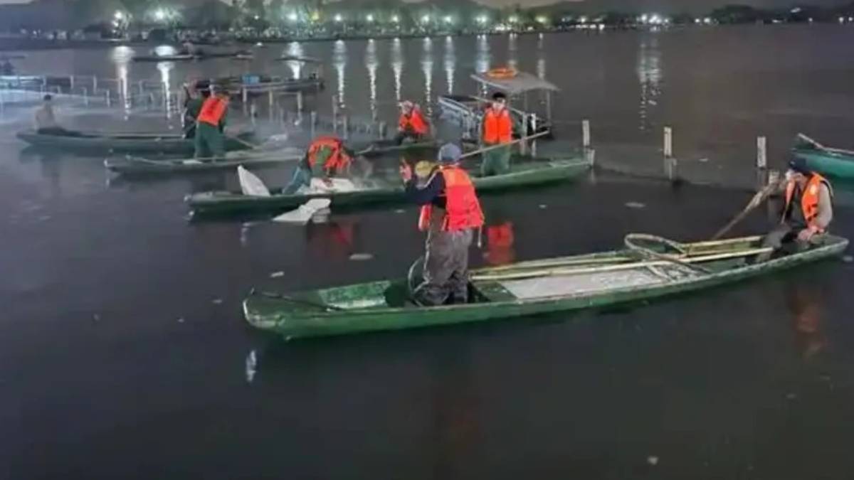 杭州西湖連撒7噸漂白粉？ 真相是……