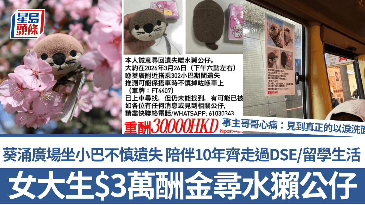 19歲女生$3萬酬金尋心愛水獺公仔 陪伴10年經歷公開試/留學生活「好多重要回憶都有佢」