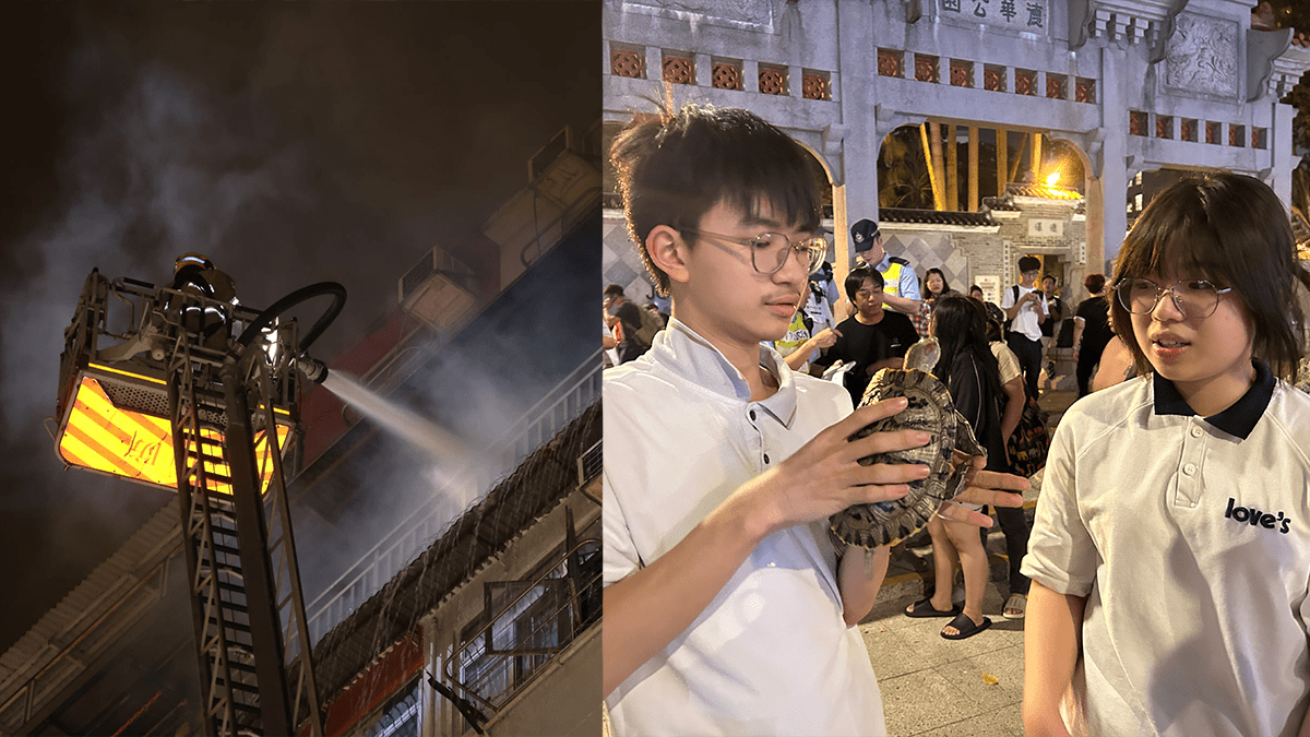 荃灣眾安大廈裝修單位失火釀2傷 小姊弟抱龜逃生：我好驚佢有事所以帶埋走