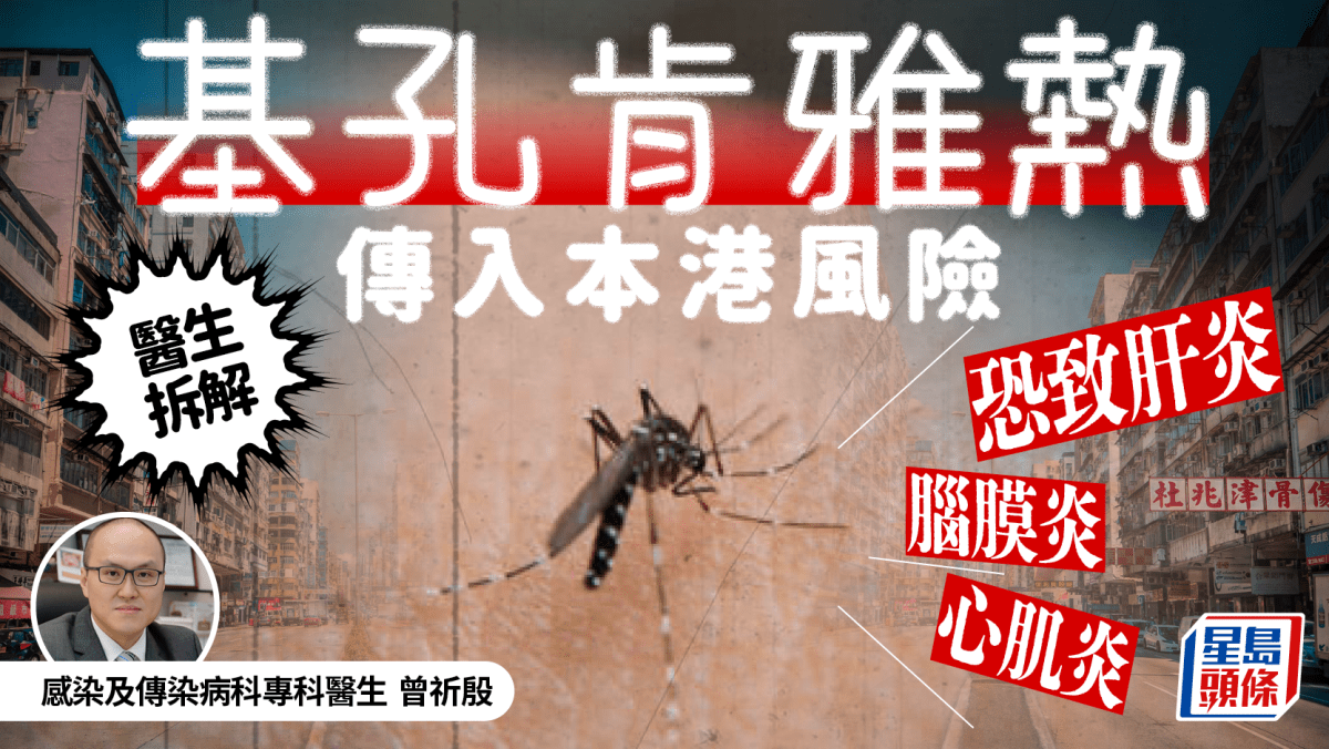 基孔肯雅熱|本港錄得首宗本地個案 醫生拆解常見症狀/感染風險 嚴重恐致肝炎/腦膜炎/心肌炎 基孔肯雅熱|本港錄得首宗本地個案 醫生拆解常見症狀/感染風險 嚴重恐致肝炎/腦膜炎/心肌炎