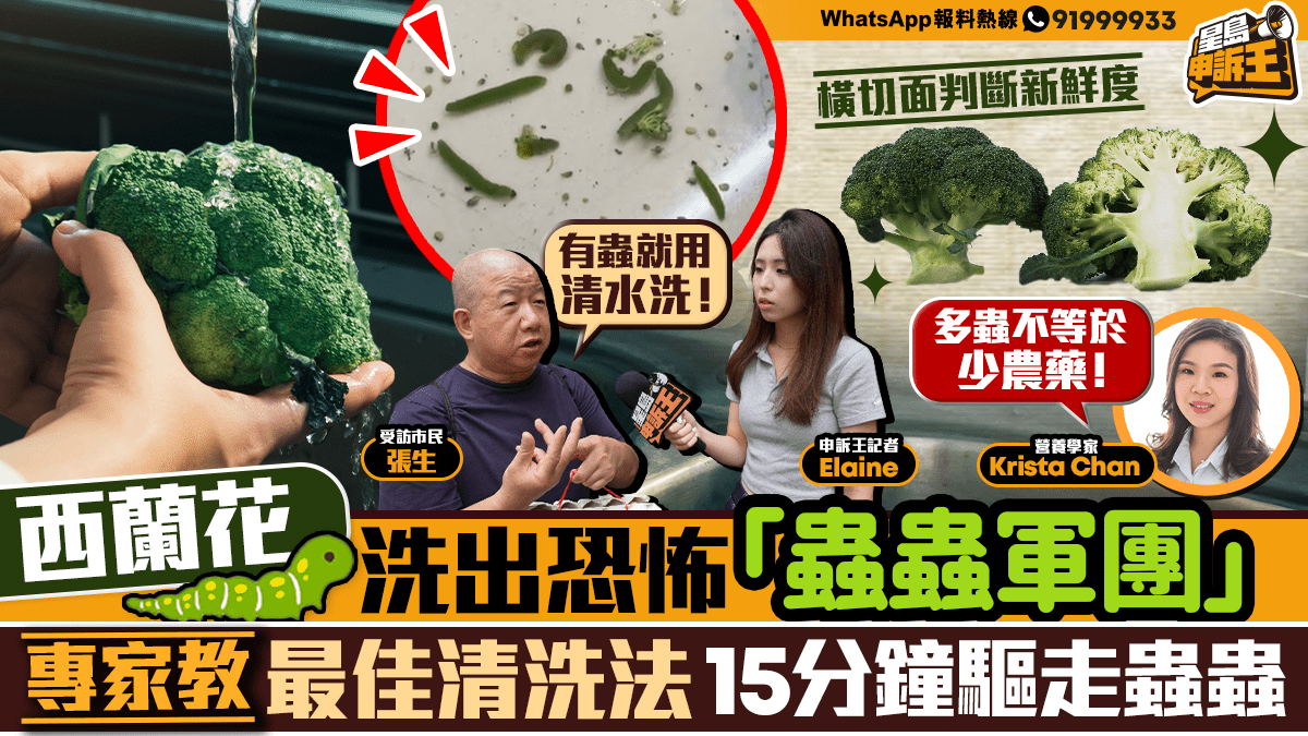 星島申訴王 | 西蘭花洗出噁心「蟲蟲大軍」    營養學家教最佳清洗菜蟲法