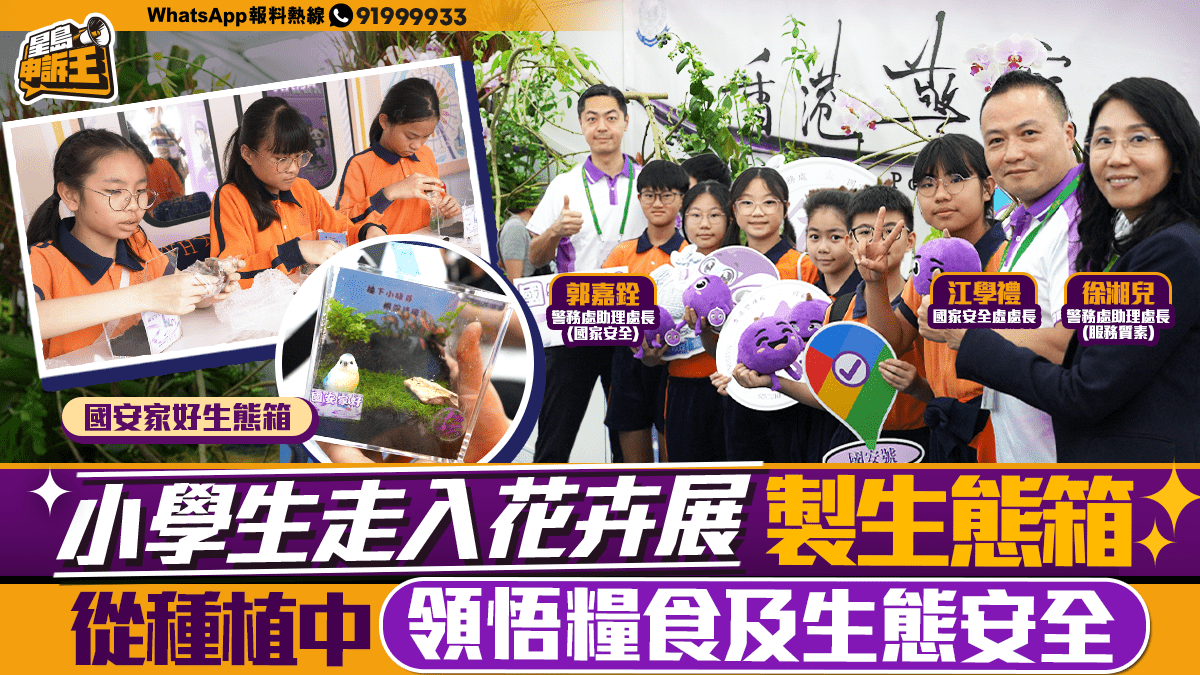 星島申訴王 | 小學生走入花卉展製作生態箱   從種植中領悟糧食及生態安全