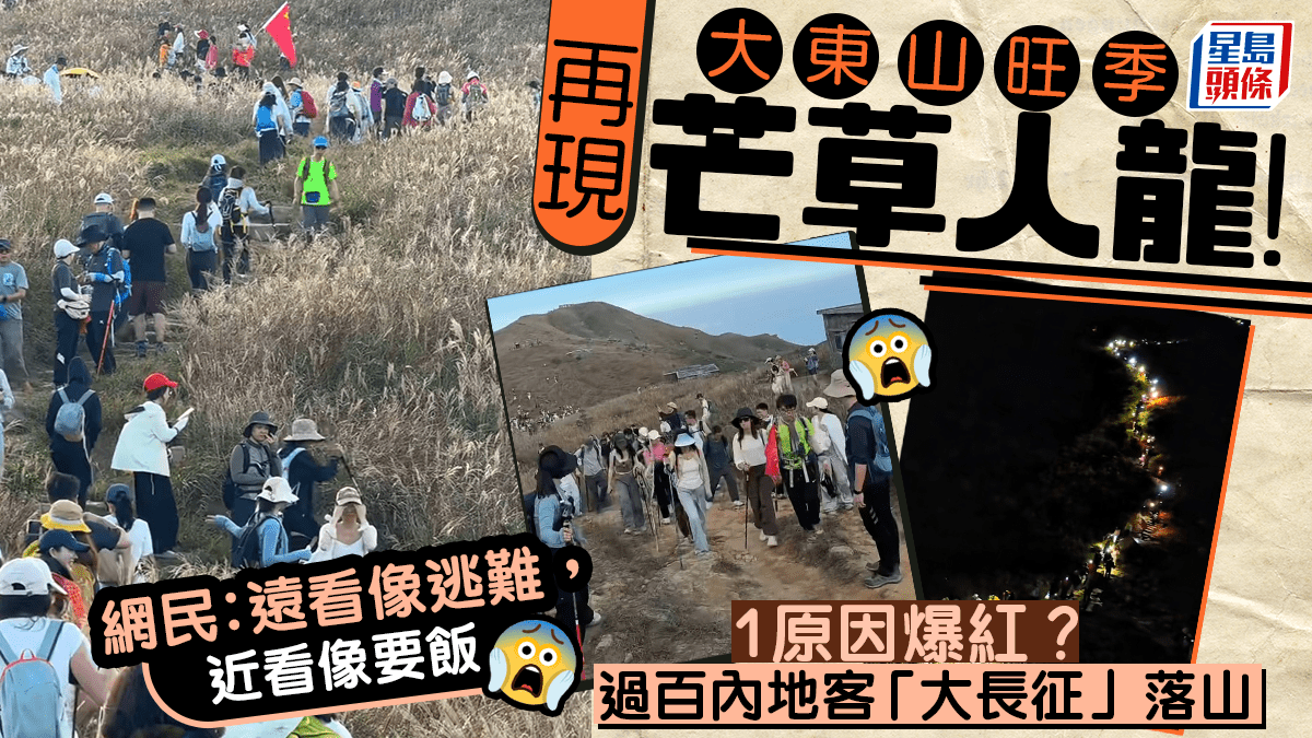 大東山旺季再現「芒草人龍」!1原因爆紅 引過百內地客「大長征」?網民︰遠看像逃難,近看像要飯 大東山旺季再現「芒草人龍」!1原因爆紅 引過百內地客「大長征」?網民︰遠看像逃難,近看像要飯