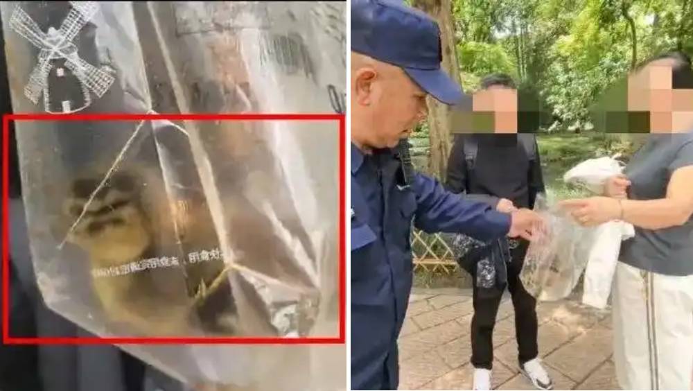 五一假期︱西湖「綁架」BB鴛鴦  古惑遊客斷正辯稱：是我買的鴨