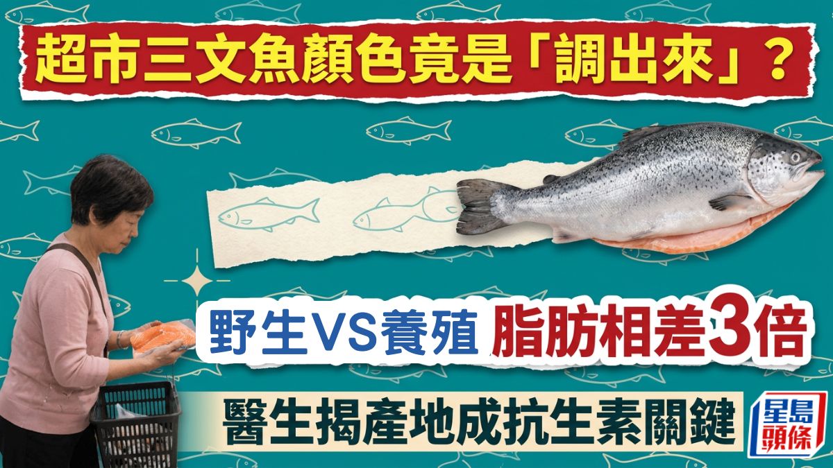 超市三文魚顏色竟是「調出來」？野生VS養殖脂肪相差3倍醫生揭產地成抗生素關鍵