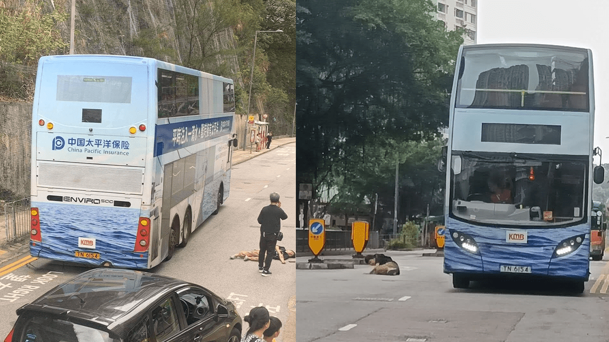 秀茂坪11歲男童捱巴士撞 四肢擦傷送院 九巴：已暫停車長駕駛職務
