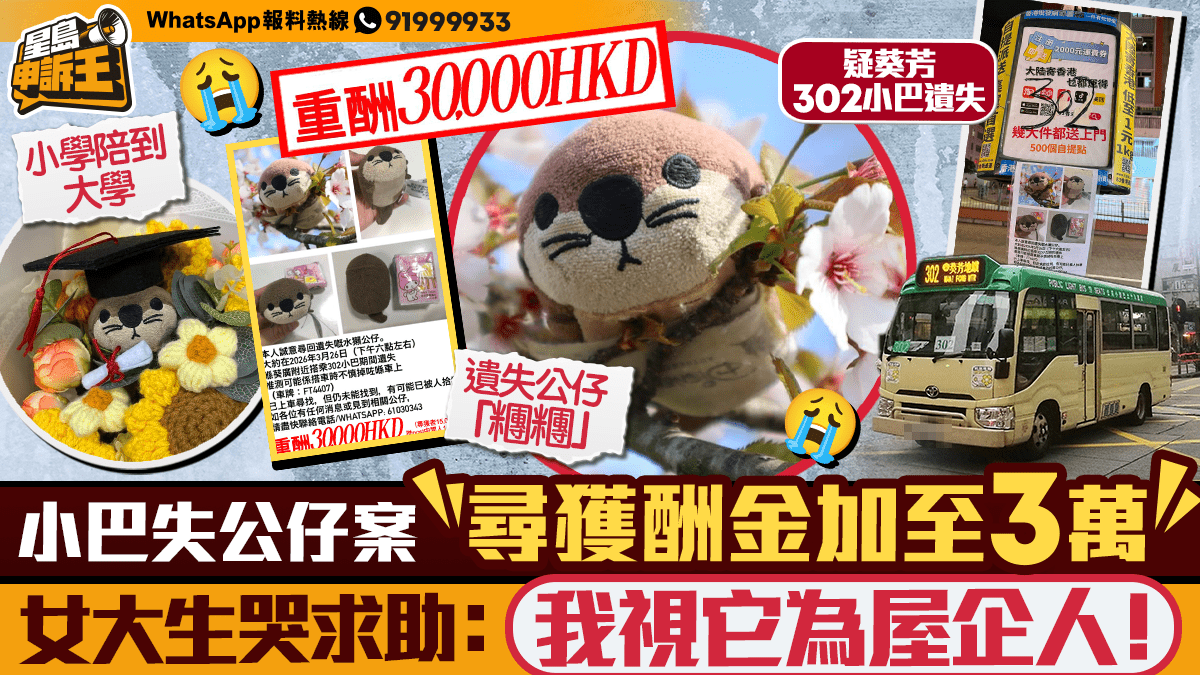 星島申訴王｜小巴失公仔案 尋獲酬金加至3萬 女大生哭求助：我視它為屋企人！