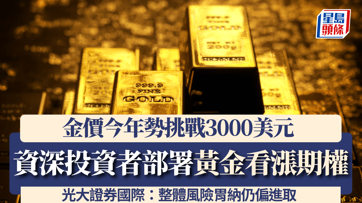 黃金 投資 風險 (99) 사진