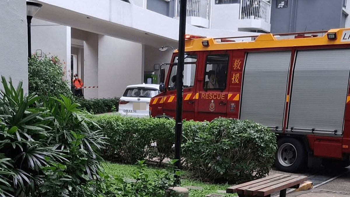 愉景灣奪命家居意外 八旬婦疑抹窗失足墮樓亡