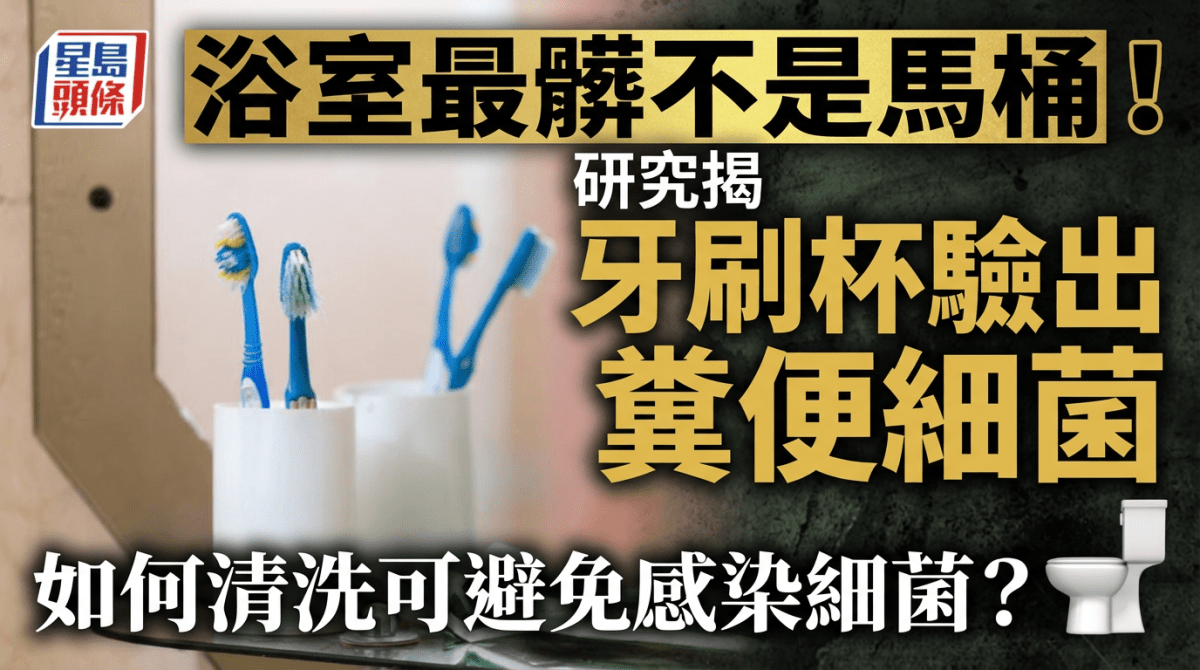 浴室最髒不是馬桶！研究揭牙刷杯驗出糞便細菌 如何清洗可避免感染細菌？