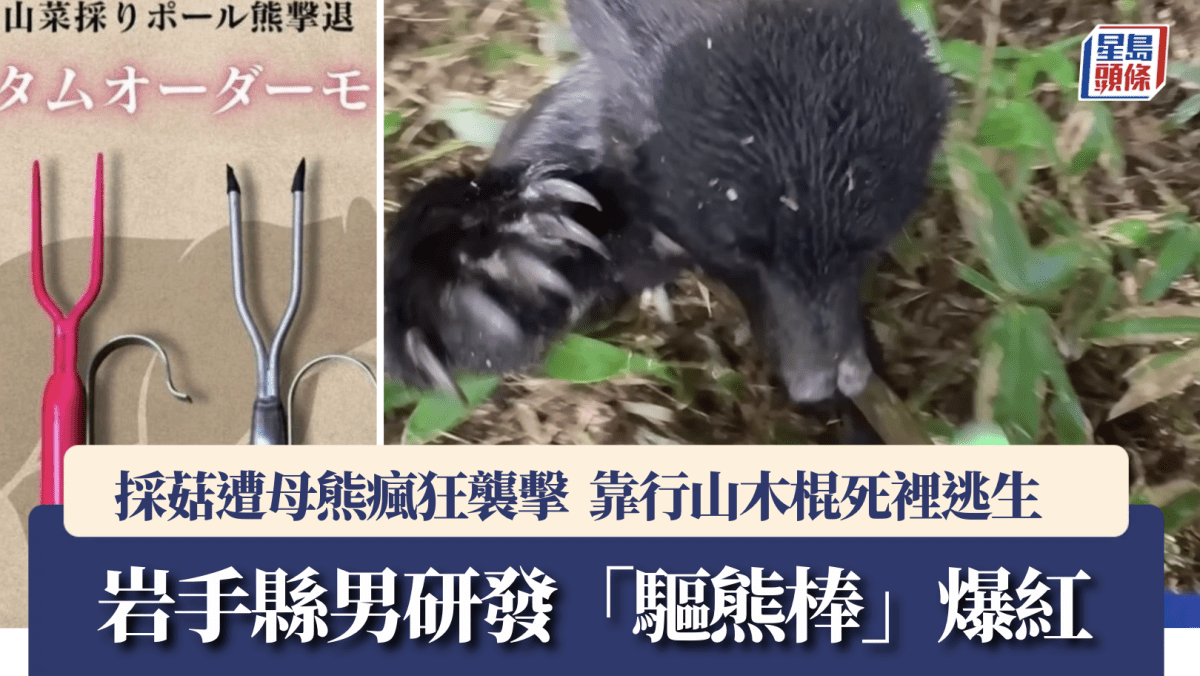 日本熊出沒｜黑熊瘋狂襲擊畫面曝光  岩手縣男研發「驅熊棒」似足Chiikawa討伐棒爆紅