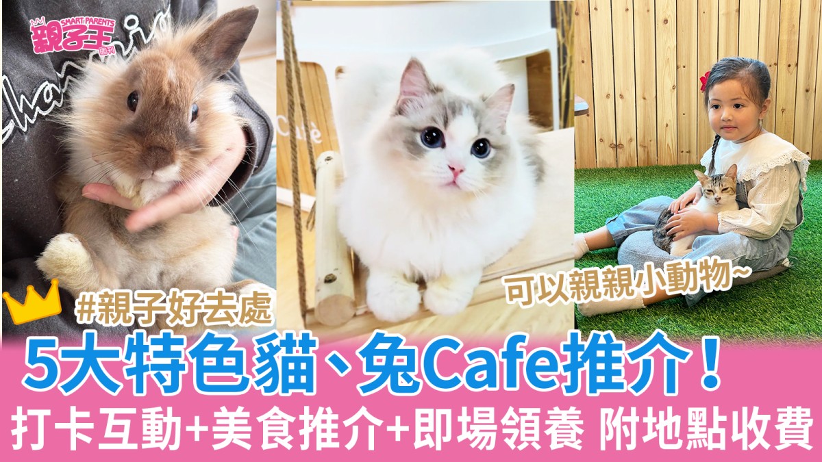 親子餐廳︳5大特色貓Cafe推薦 兔Cafe都有!美食推介+即場領養 附地點收費