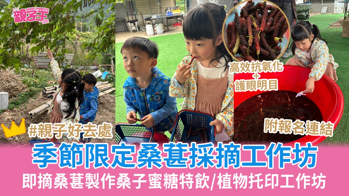 親子農莊｜桑葚採摘工作坊 季節限定即摘桑葚/製作桑子蜜糖特飲｜親子好去處