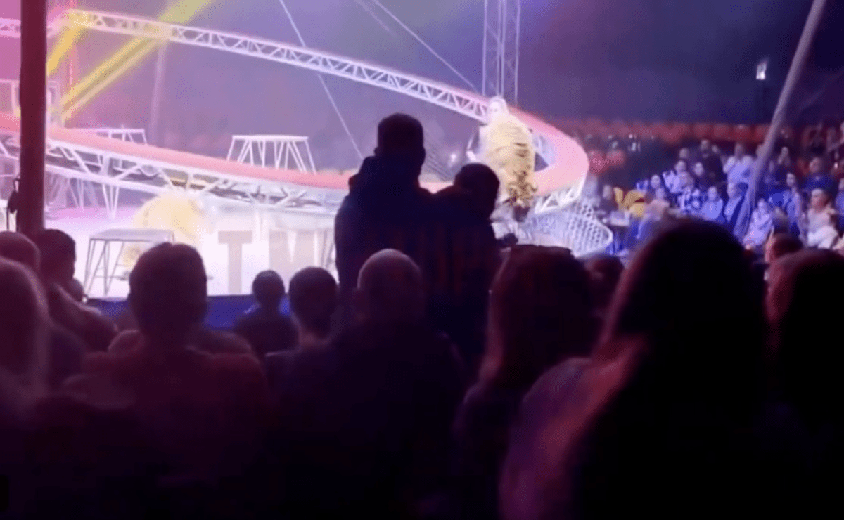 有片｜ 俄羅斯馬戲團表演驚魂 安全網突崩塌老虎衝入觀眾席