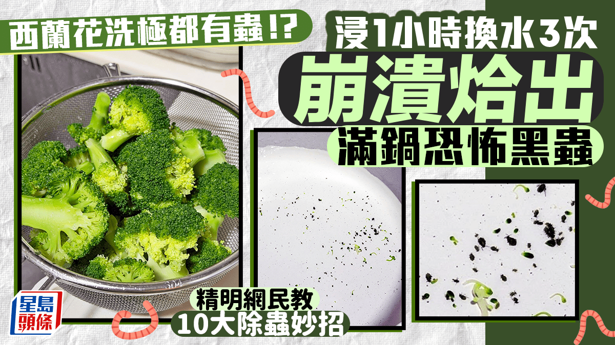 西蘭花洗極都有蟲！？ 浸1小時換水3次 崩潰烚出恐怖黑蟲 精明網民教10大除蟲妙招｜Juicy叮