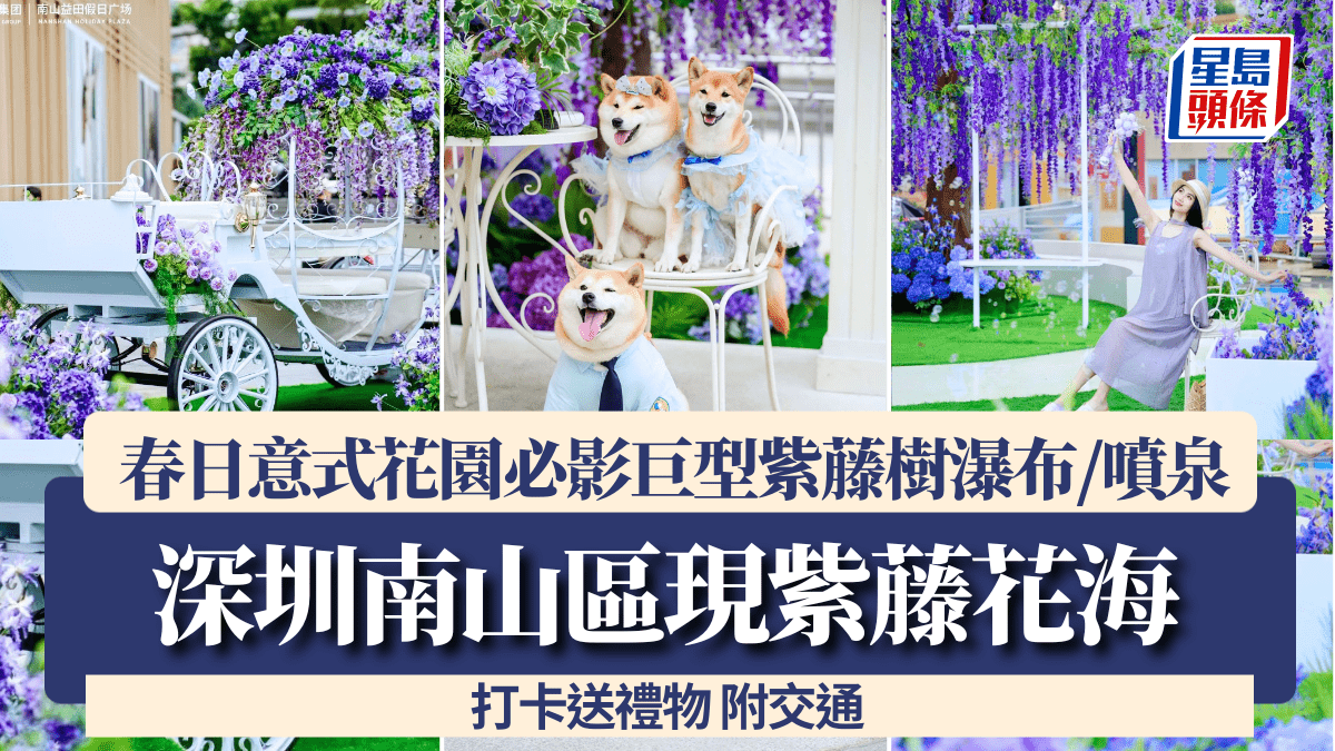 深圳現紫藤花海！南山區商場打造春日意式花園 必影巨型紫藤樹瀑布/噴泉 打卡送禮物
