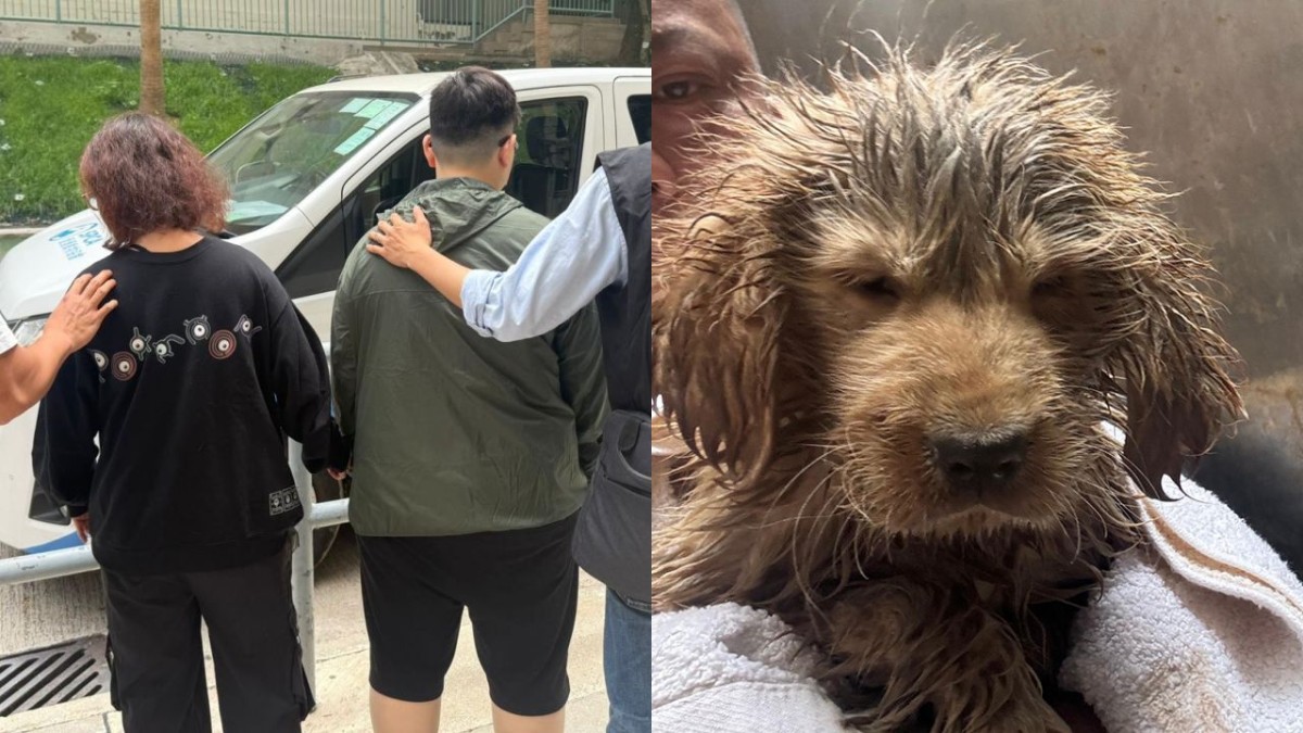 旺角後巷垃圾桶棄病犬案 警查天眼拘女情侶 揭有人疑涉走私動物