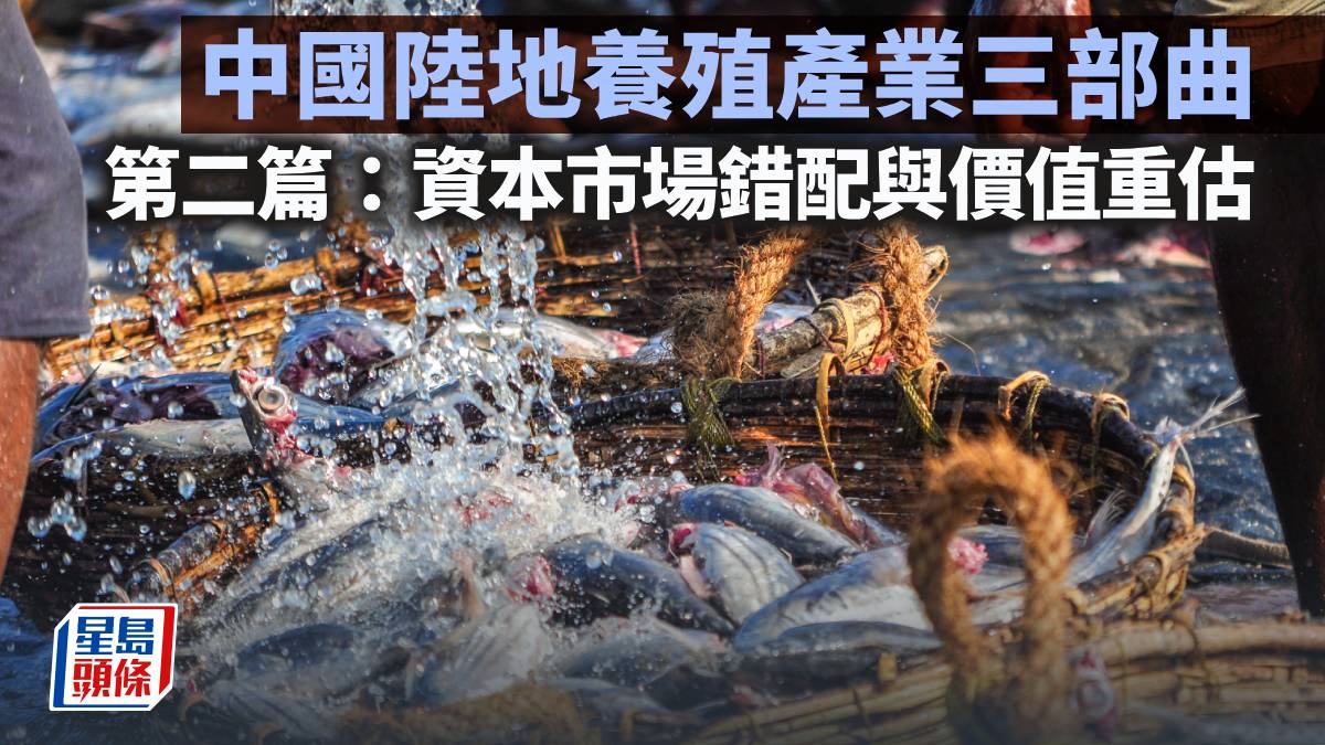 中國陸地養殖產業三部曲 第二篇：資本市場錯配與價值重估｜陳新燊