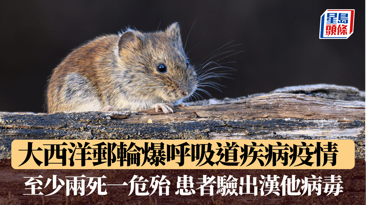 大西洋郵輪爆漢他病毒感染 3死1危殆 世衞介入調查