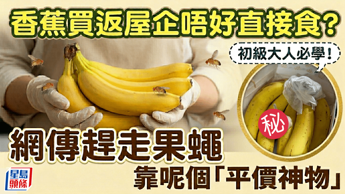 初級大人必學！香蕉買返屋企唔好直接食？網傳趕走果蠅 靠呢個「平價神物」
