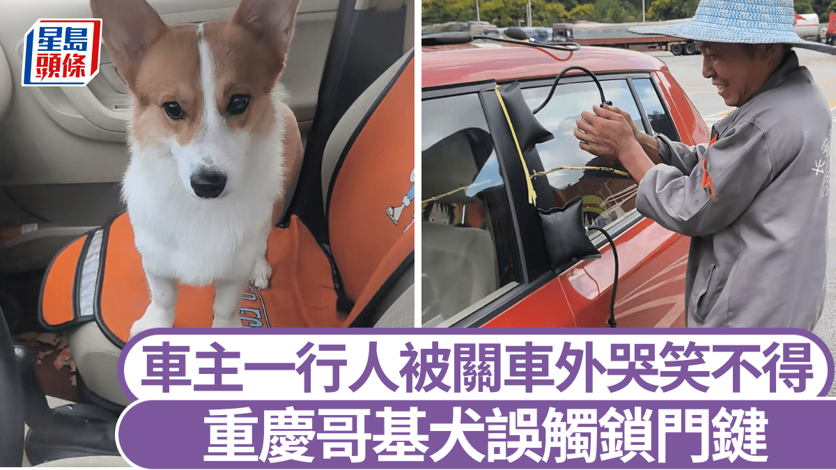 頑皮哥基犬鎖車門車主進不了 與開鎖師傅大鬥法|有片