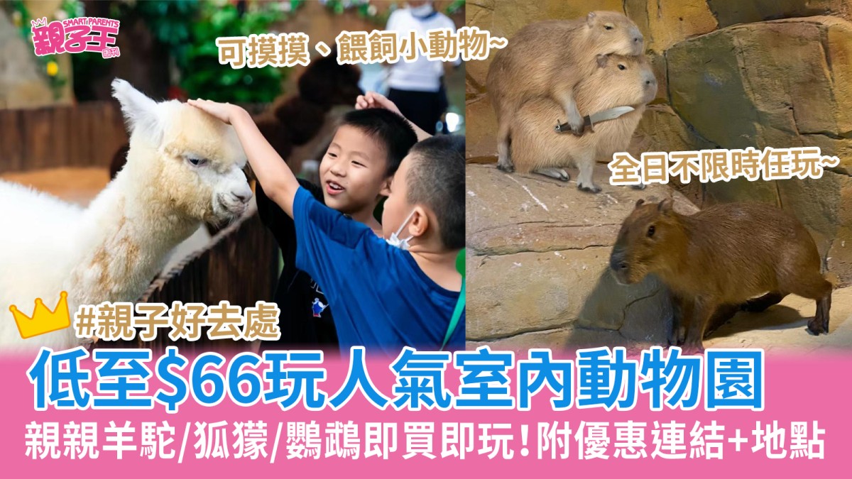 深圳親子遊2024︳深圳野恩動物園低至$66零距離親親小動物 餵飼羊駝/狐獴/鸚鵡
