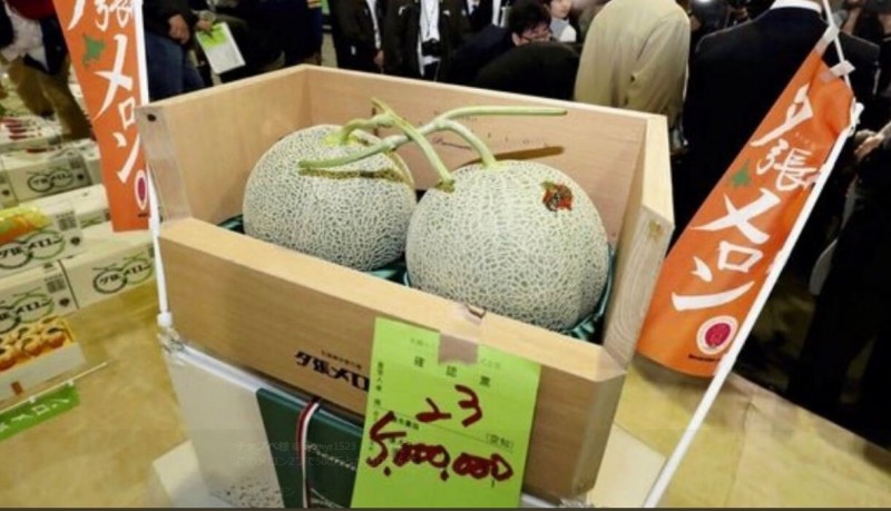 夕張蜜瓜︱札幌首場拍賣會   一組兩個$28萬天價成交