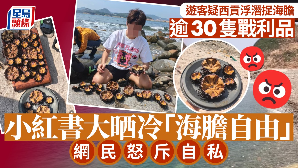 五一黃金周︱小紅書發帖「海膽自由」 遊客疑西貢浮潛捕捉 網民斥破壞生態：當海鮮放題？