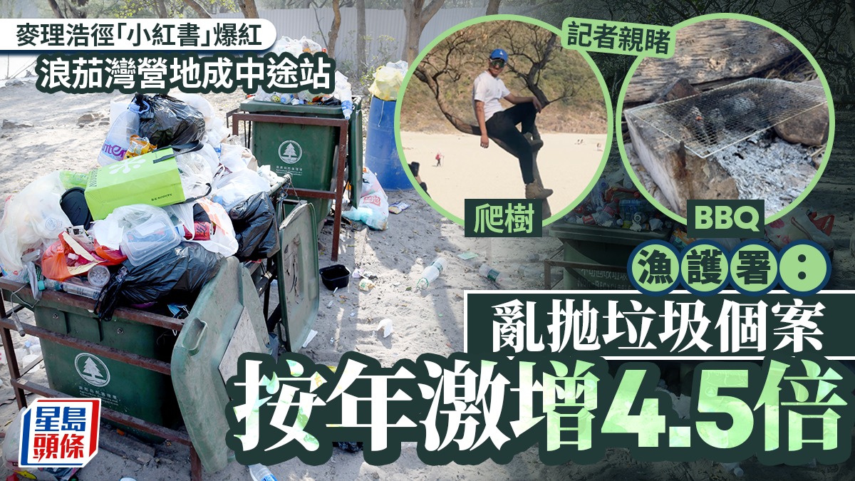 麥理浩徑「小紅書」爆紅 遊客爬樹、BBQ 漁護署:郊園亂拋垃圾個案按年激增4.5倍