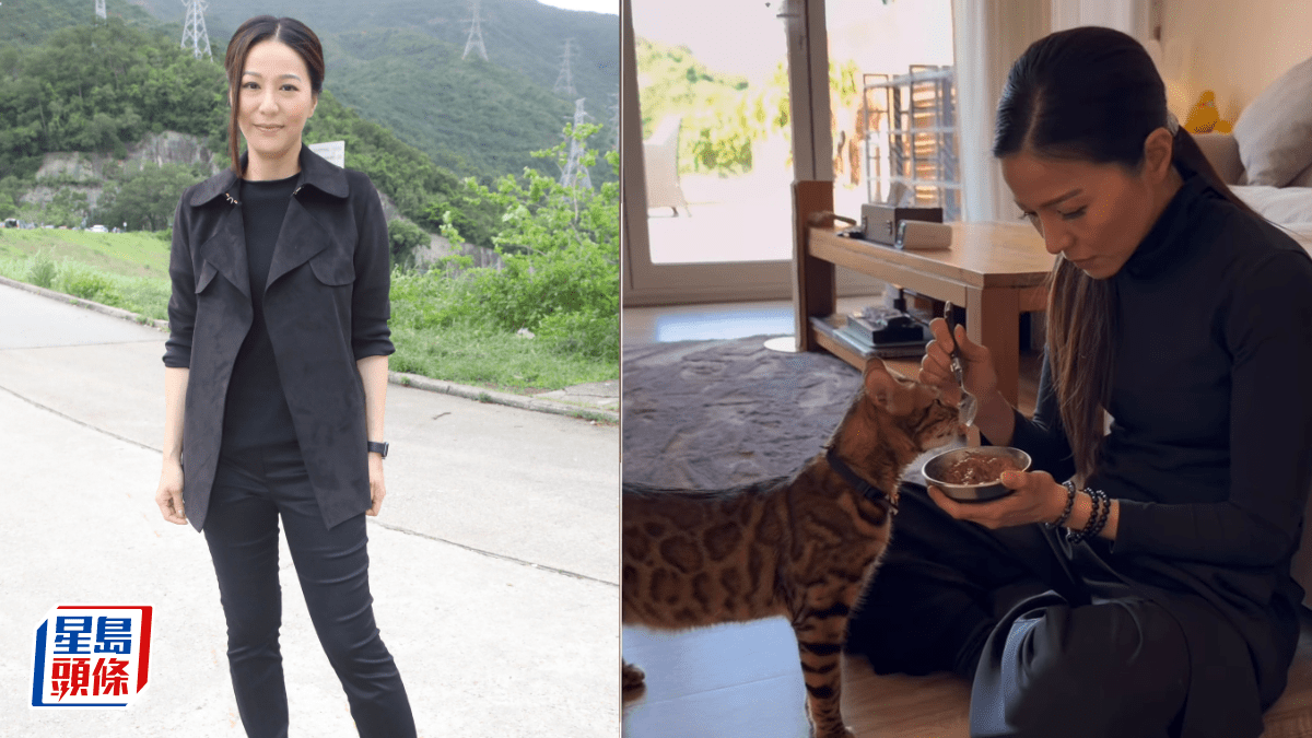 「貓奴」滕麗名追餵主子  意外曝光山景複式豪宅  舒適寬敞客廳連接極大露台