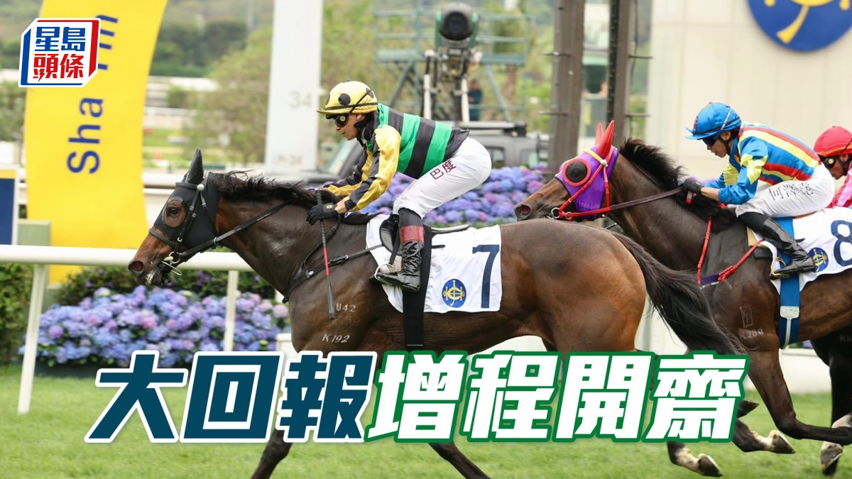 馬場密探048｜「大回報」增程開齋