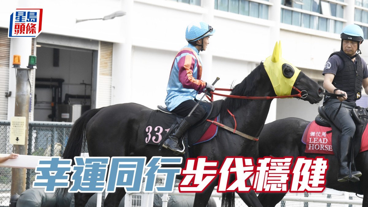 內圈捕影│「幸運同行」步伐穩健