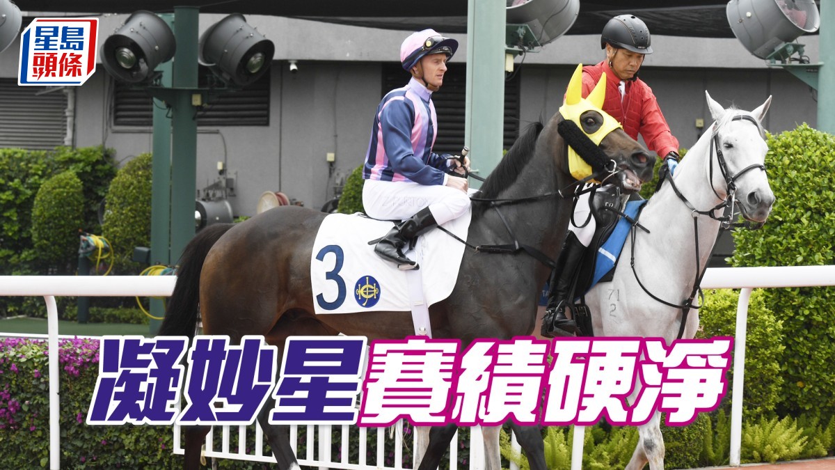 波仔至醒靈活玩│「凝妙星」賽績硬淨