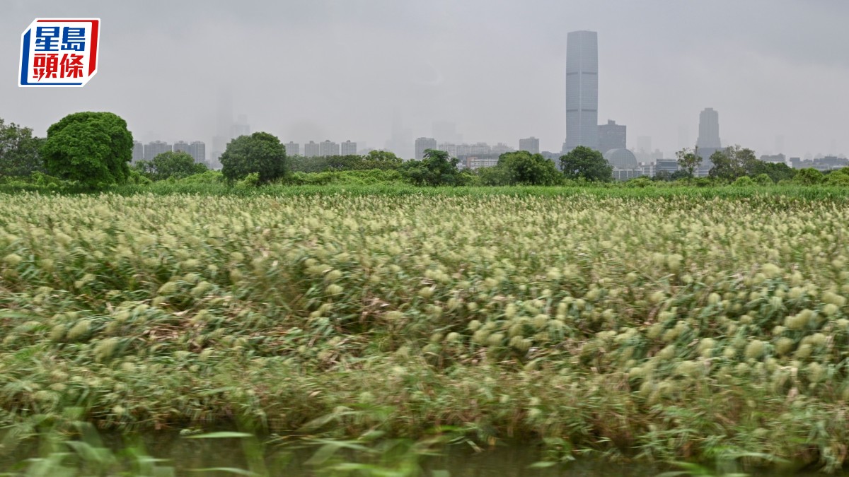 部分米埔邊境禁區取消 政府修訂《邊境禁區令》 7.24起市民毋須向警方申請禁區許可證