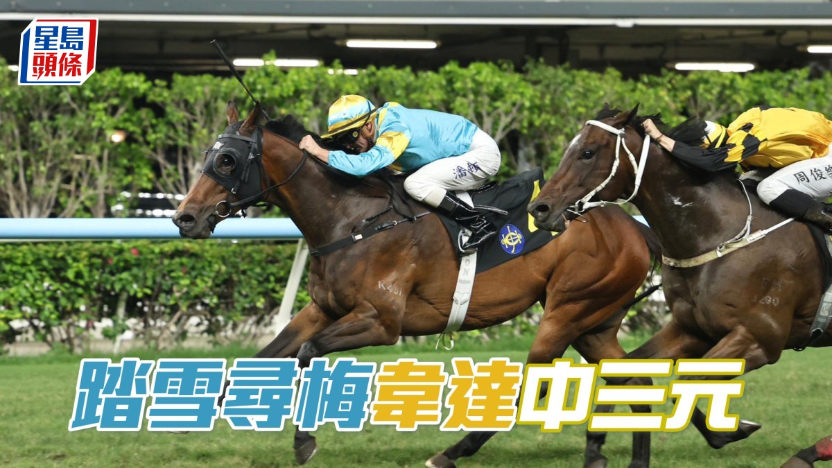 馬場密探048｜「踏雪尋梅」韋達中三元