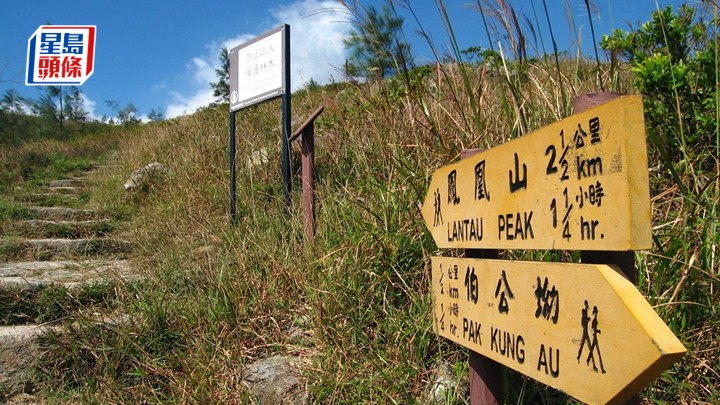 大嶼山五旬漢獨行鳳凰徑失聯 救援人員登山搜索