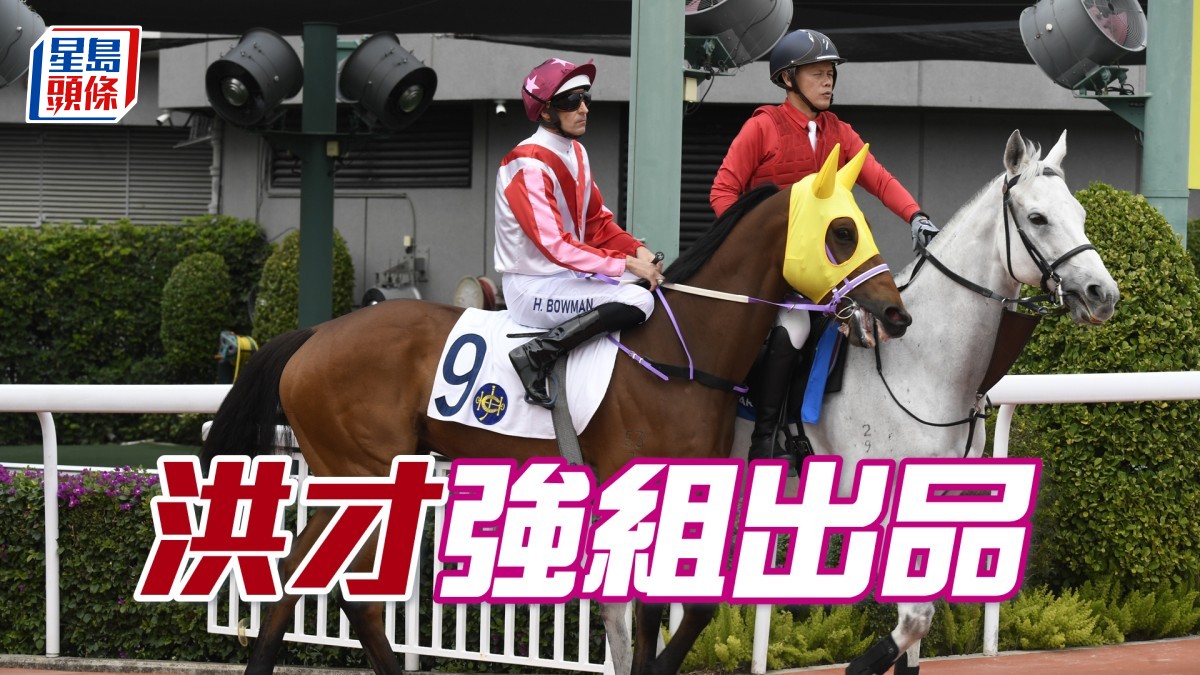 波仔至醒靈活玩│「洪才」強組出品