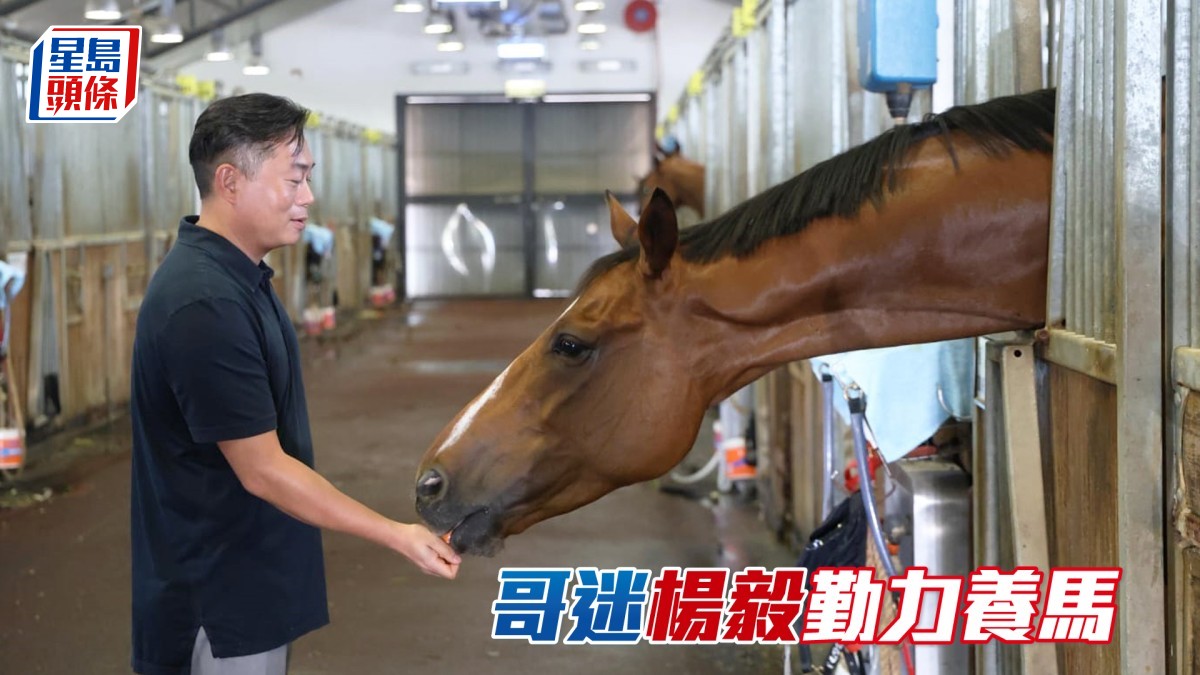 甜甜小記│哥迷楊毅勤力養馬