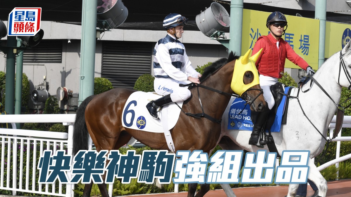 波仔至醒靈活玩│「快樂神駒」強組出品