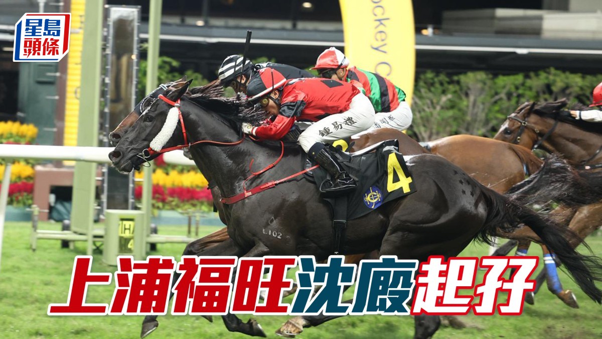 馬場密探048｜「上浦福旺」沈廄起孖