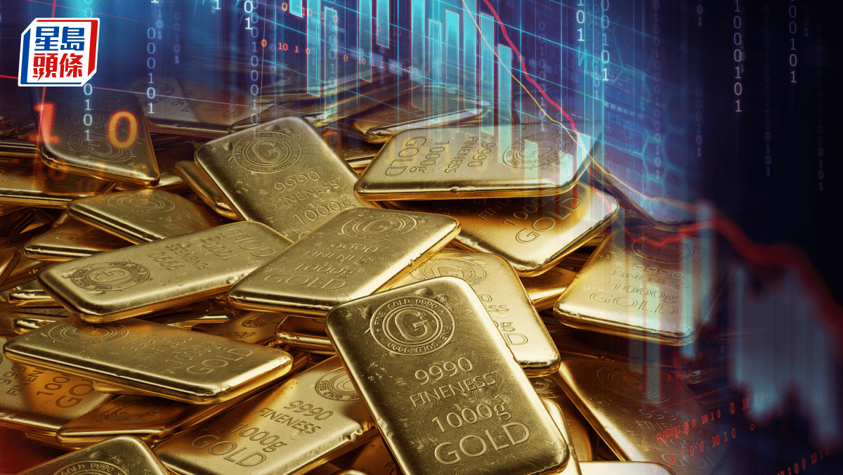 ➅ 金運UP イワヒバ 首長最上株物 超多株20多幹30年以上物 ➅金運