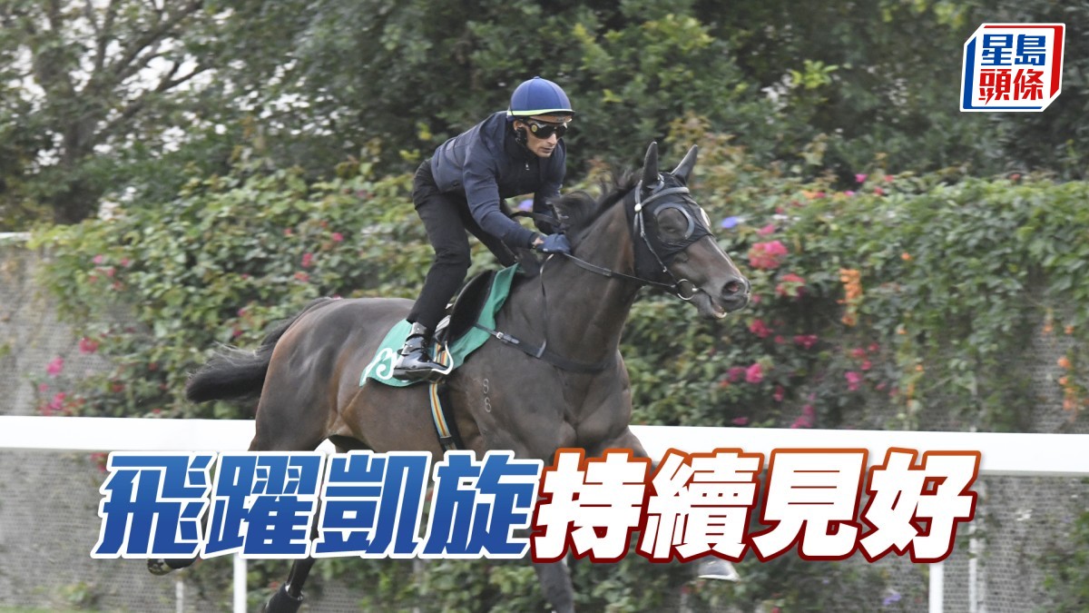 內圈捕影│「飛躍凱旋」持續見好