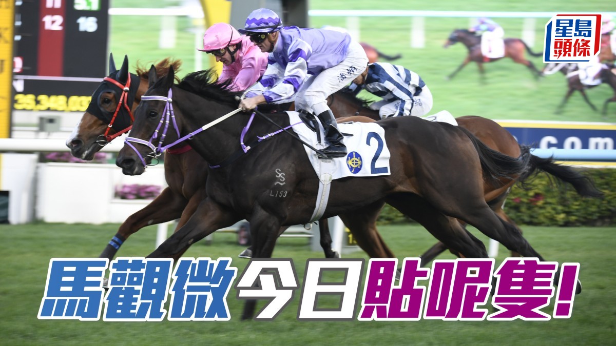 馬觀微全日心水│「千帆駒」開齋奧妙