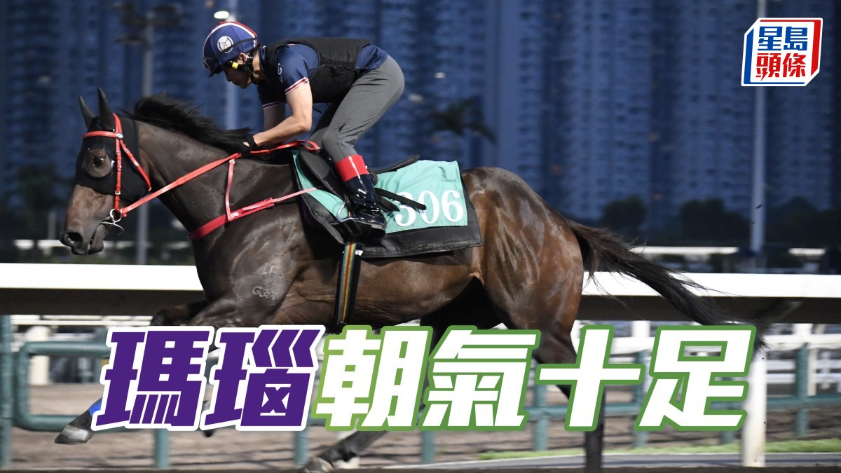 晨光追擊│「瑪瑙」朝氣十足