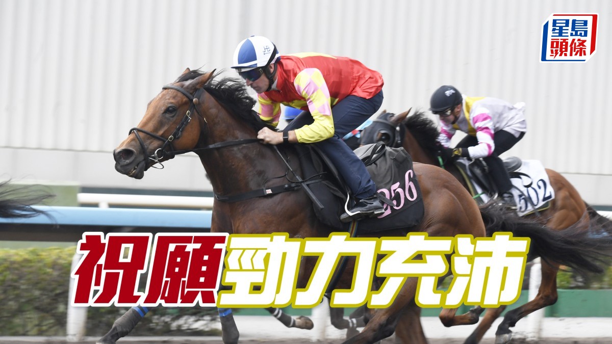 晨光追擊│「祝願」勁力充沛