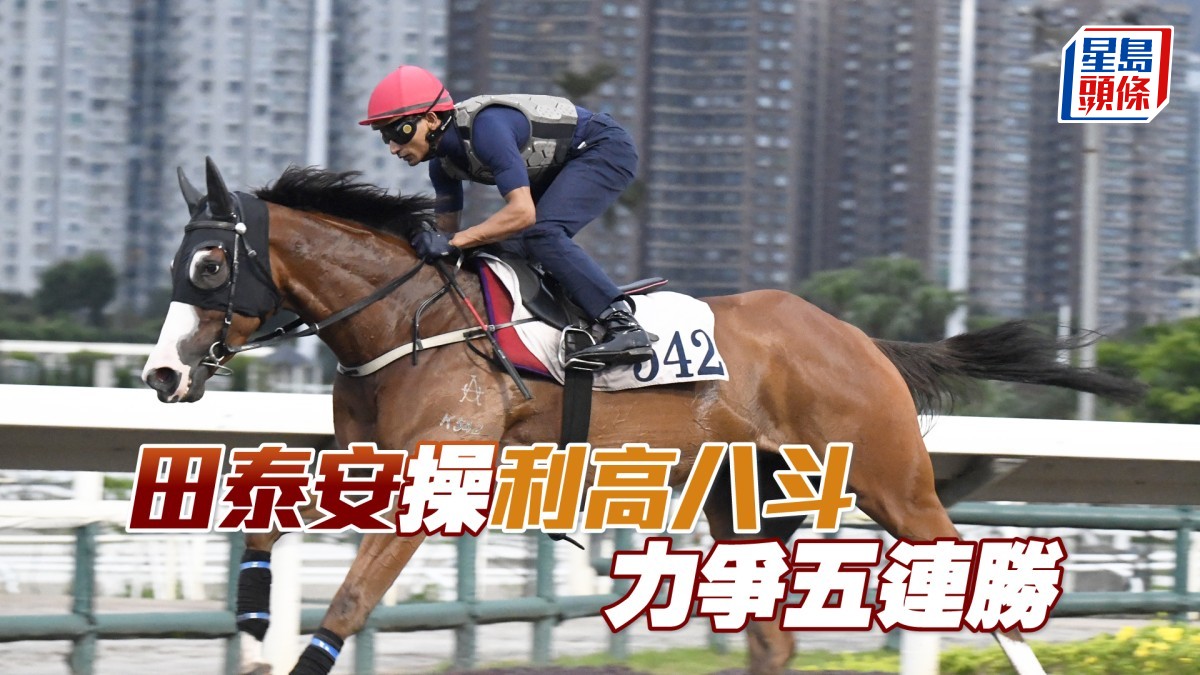 田泰安今早操「利高八斗」力爭五連勝