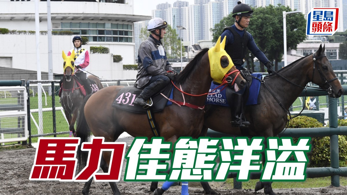 內圈捕影│ 「馬力」佳態洋溢