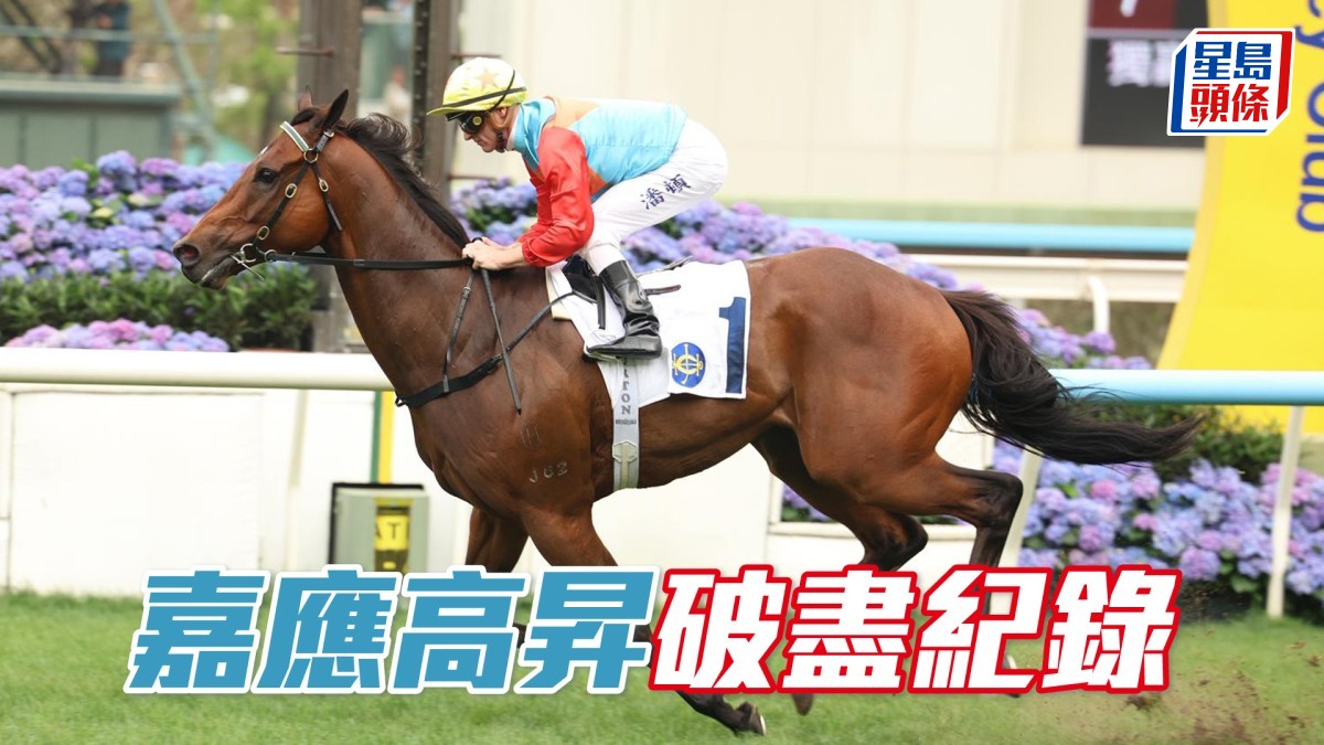 馬場密探048｜「嘉應高昇」破盡紀錄