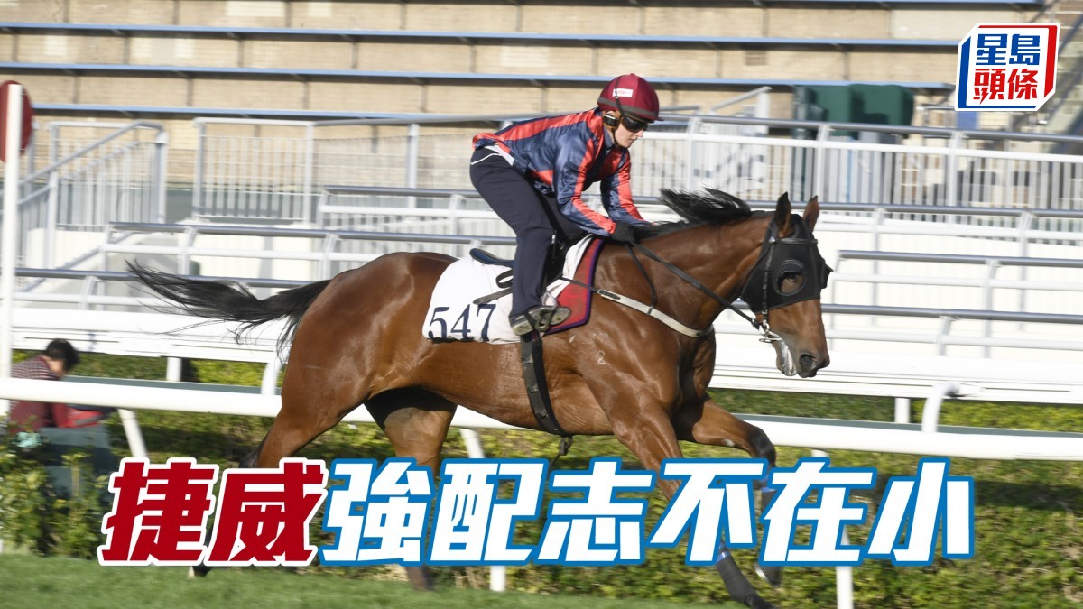 Dickson心水│「捷威」強配志不在小